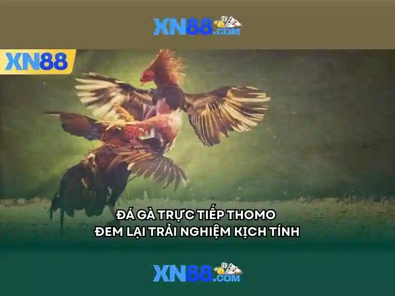 💎nhà cái esball💎