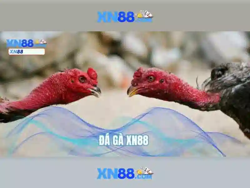 💎kèo nhà cái world cup nữ💎