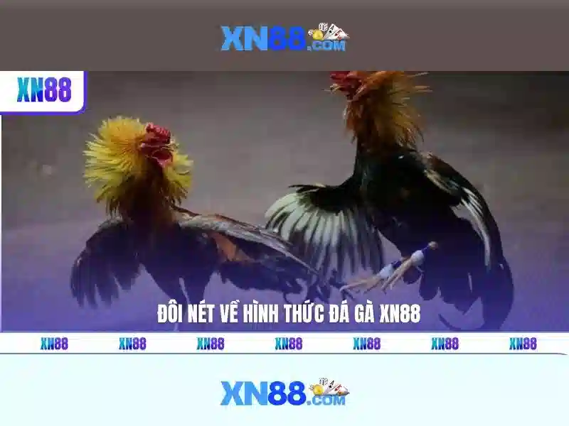 💎kèo nhà cái indo và việt nam💎