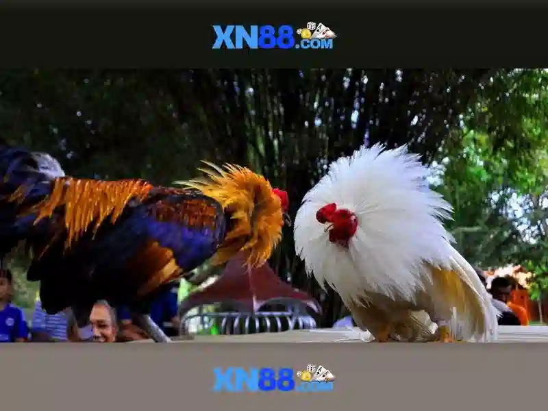 💎slot con bonus gratis💎