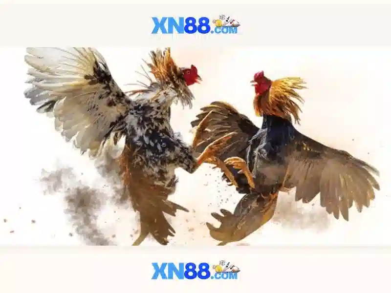 Chính Sách Bảo Mật - Bảo Vệ Người Chơi Tại XN88 Toàn Diện - XN88