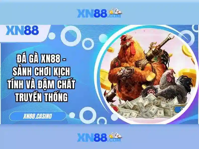 Điều Khoản Điều Kiện - Hiểu Để Chơi An Toàn Tại XN88 - XN88
