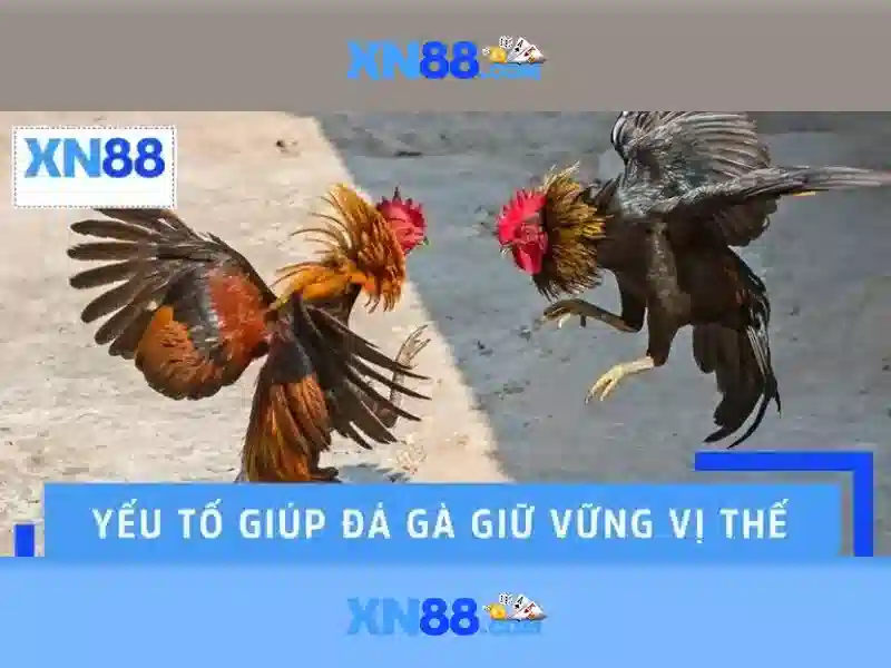 💎kèo nhà cái argentina💎