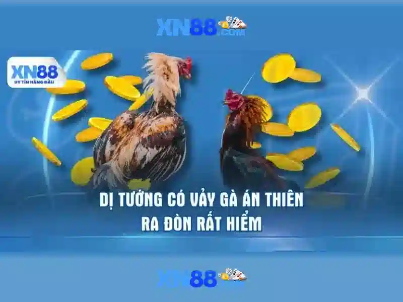 💎365 nhà cái💎