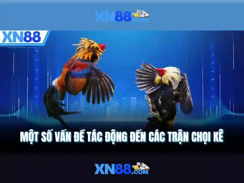 💎loyalty card slots💎