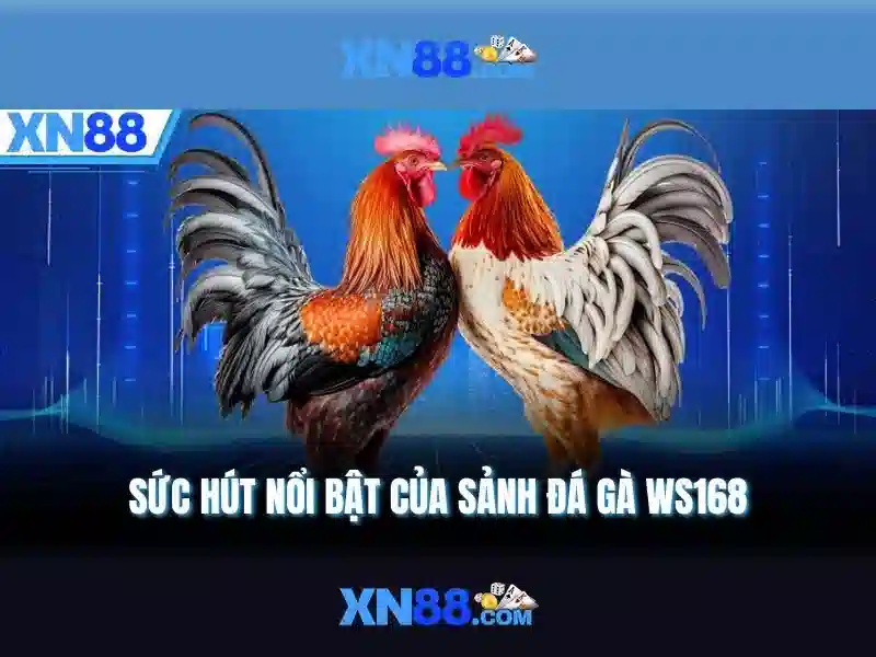 💎ban ca 888slot💎