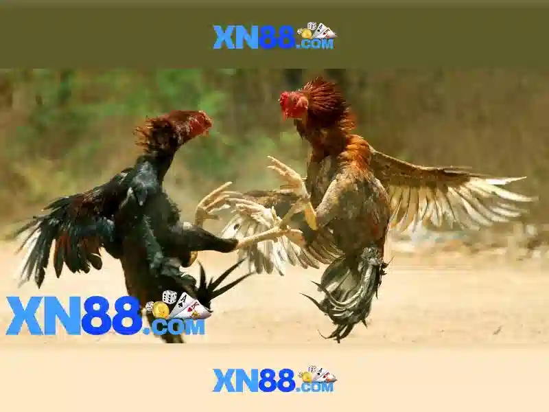 💎ty lê ca cươc💎