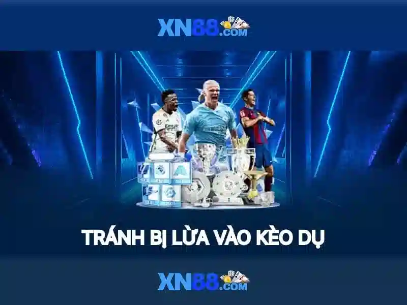 💎bài đánh giá về dookki bạc liêu💎