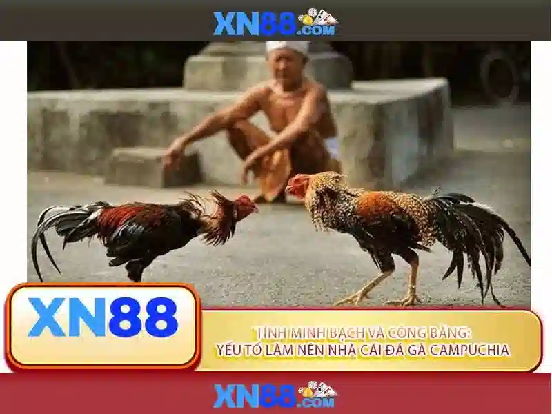 💎lengbear poker slots xn88 lengbear poker slots💎