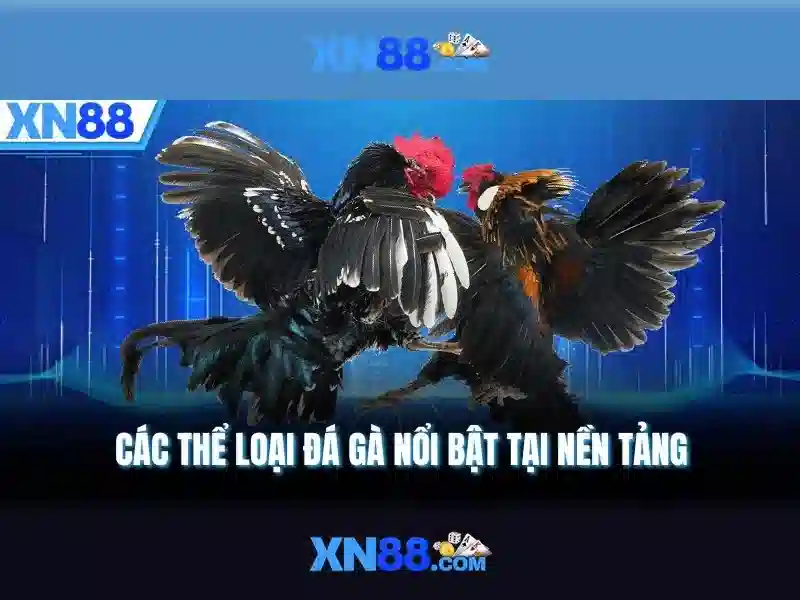 💎bài đánh giá về hb88 hồ chí minh💎