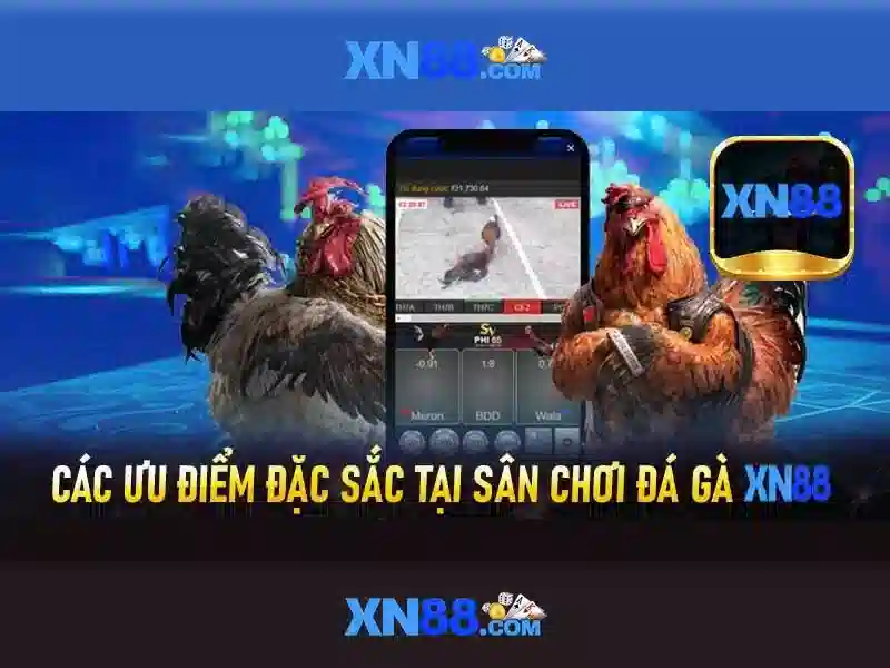 💎lịch phát sóng phim bác sĩ trên htv2💎