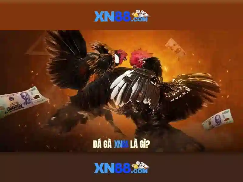 💎xn88 jackpot meter💎