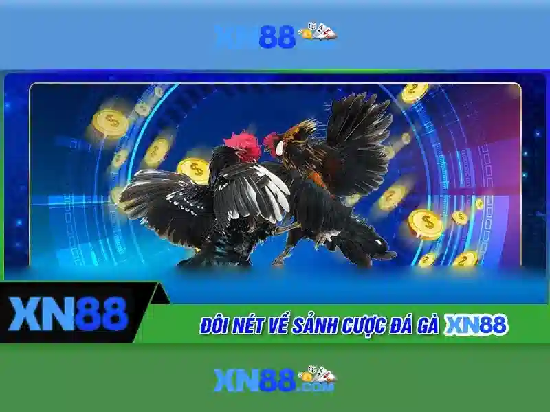 💎ahop thể thao song ngọc bạc liêu💎