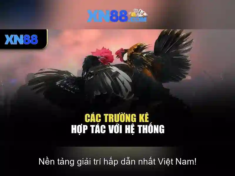 XN88 Slot - Sân Chơi Số Học Đa Dạng Và Hiện Đại - XN88