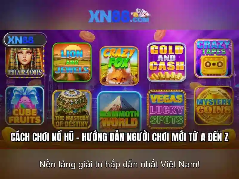 💎thuyết minh về cái chổi quét nhà💎