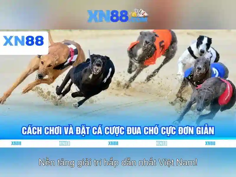 💎in tdm slots are further divided into💎