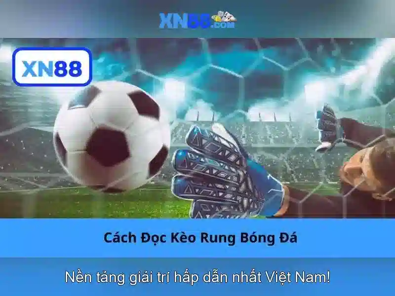 💎hệ số cá cược bóng đá💎