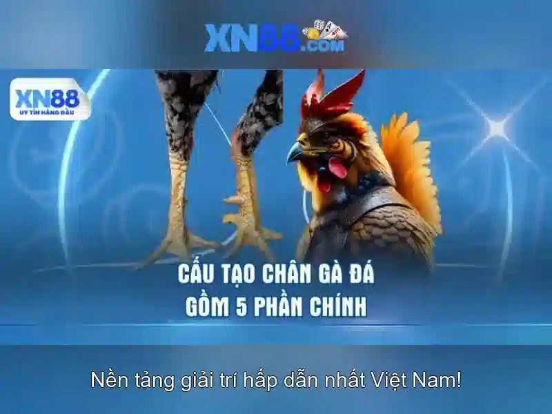 💎888slot free 120 no deposit bonus💎