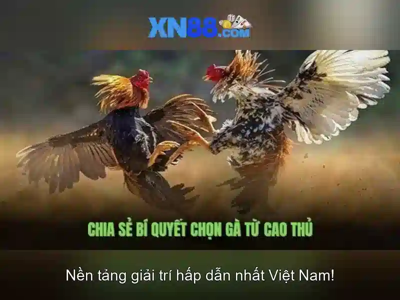 💎888 slot club 777💎