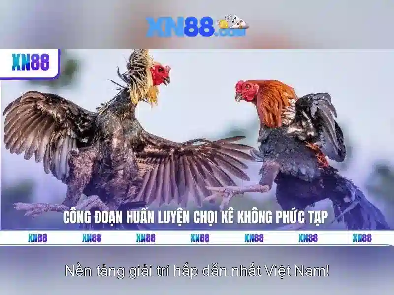 💎trang cá cược hóng đá💎