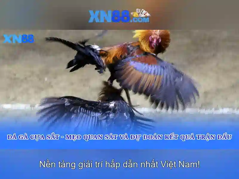 💎cá cược .tv💎