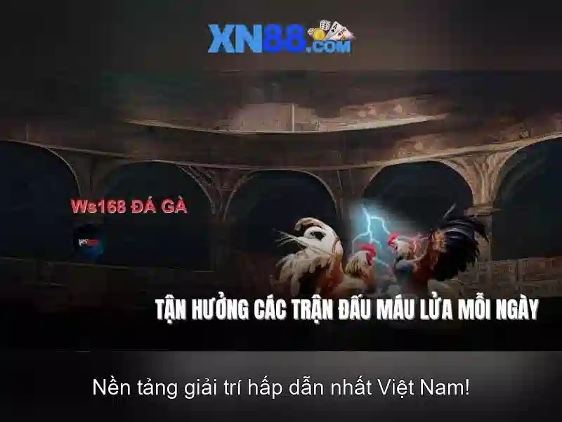 💎nhan dinh bong da keo nha cai viet nam💎