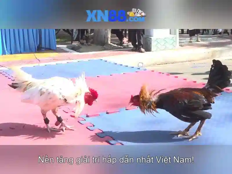 💎888 slot games free play💎