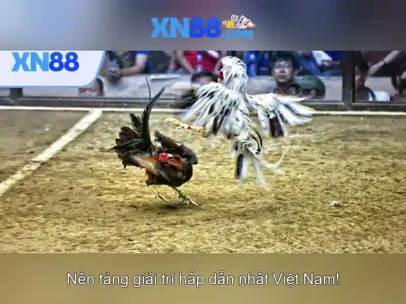 💎trực tiếp bóng đá kèo nhà cái arsenal💎