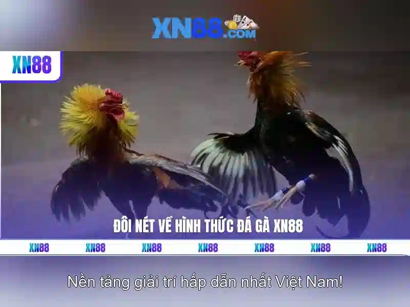 💎trang web cá cược uy tín aufop💎