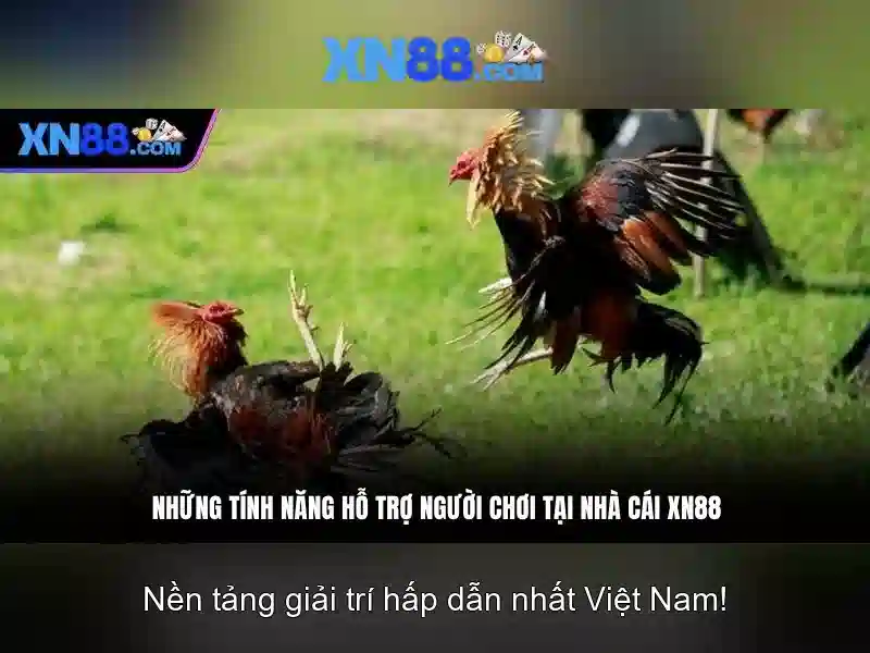 💎vip 888slot💎
