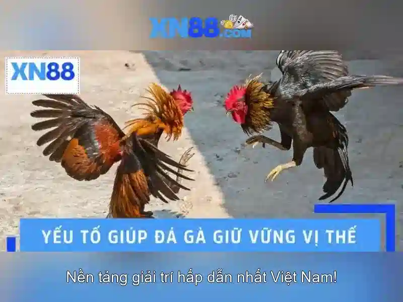 💎nhà cái uy tín 20vui.org💎
