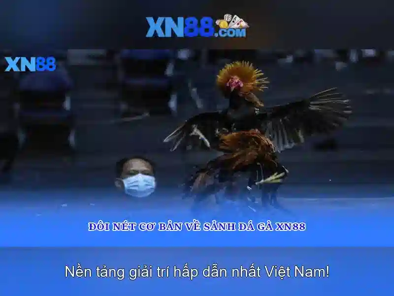 💎sông bạc ở đâu💎