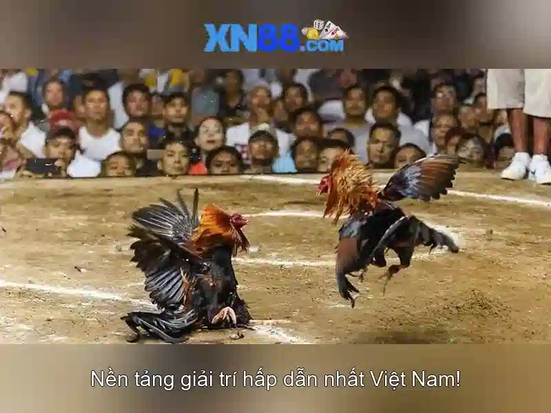 💎66b it act in hindi💎 - 336/66b phan văn trị, p11, q.bình thạnh, hcm - 66b nguyễn sỹ sách p15 tân bình