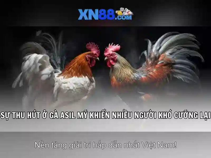 💎bwin slots bewertung💎