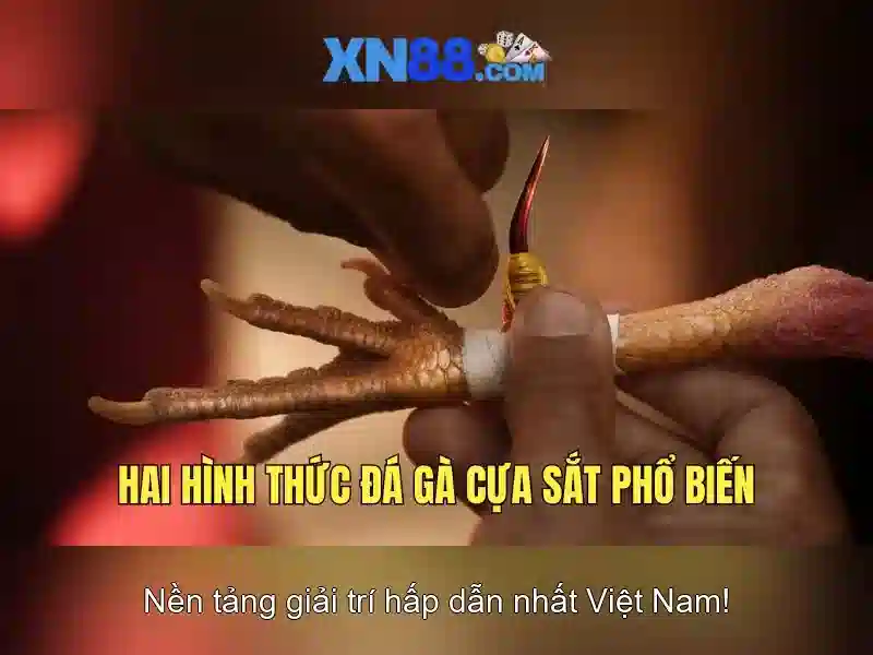 💎nhà xe phúc xuyên quảng ninh lào cai💎