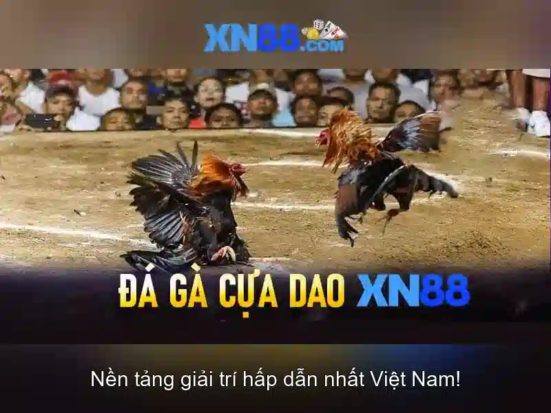 💎nhà cái uy tín .pics💎