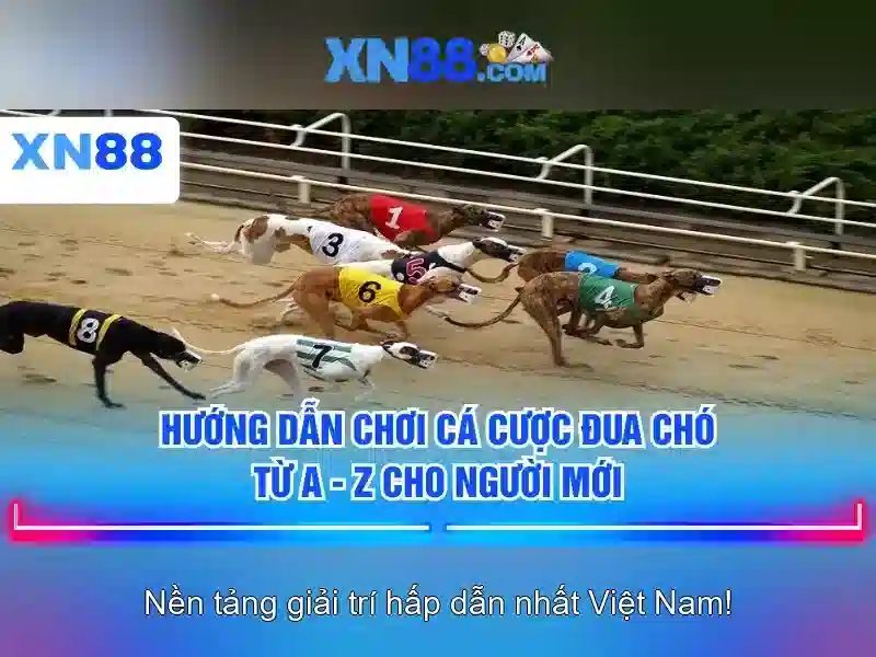 💎cách trồng cải tại nhà💎