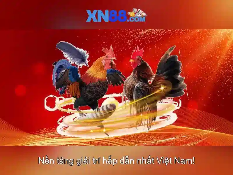 💎tỷ số cá cược đức💎
