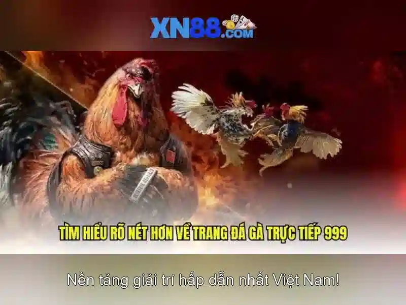 💎v9bet cá cược thể thao💎