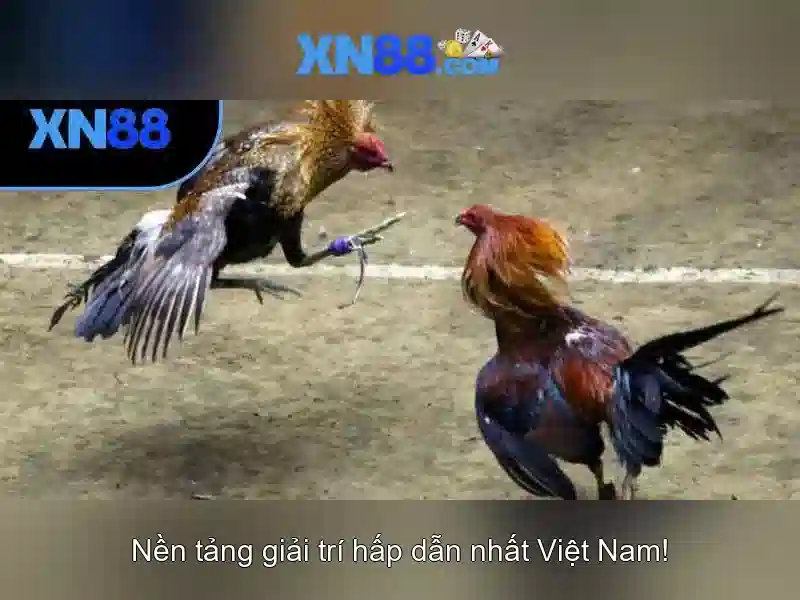 💎188v 188vv com vn💎 - casino 188v - đăng ký 188v