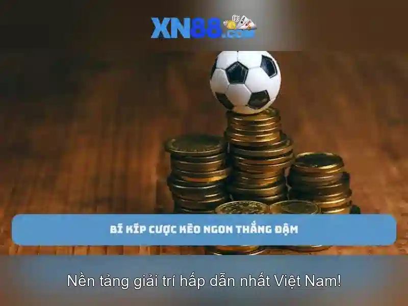 💎78win01 trang cá cược💎