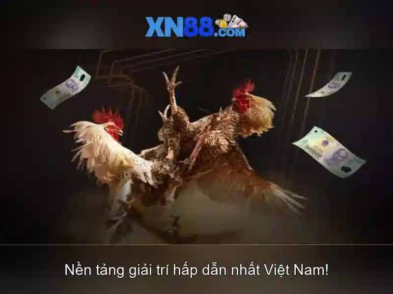 xn88 - Nền tảng cược trực tuyến hàng đầu tại Việt Nam cho người chơi thông thái