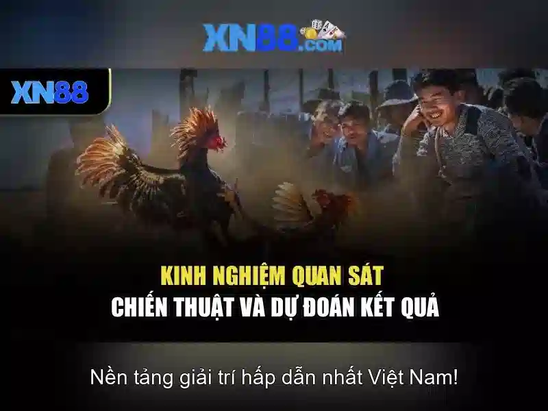 💎truyện cá cược của mộc khẩu ngân💎