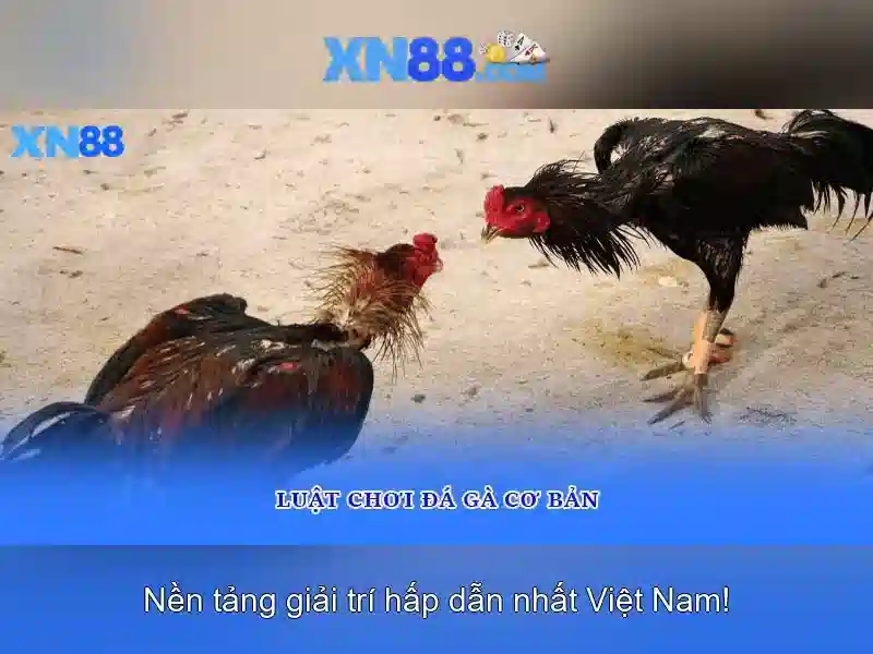 💎66b tran hung dao💎 - 66b tran hung dao - 66b trần hưng đạo, hoàn kiếm, hà nội