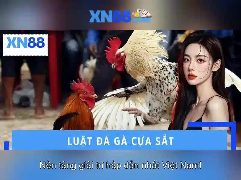 💎cách đánh bóng zippo bấc💎