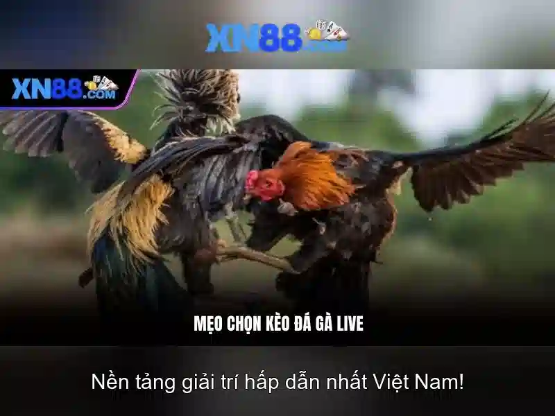 💎quy hoạch cầu bắc qua sông hồng💎