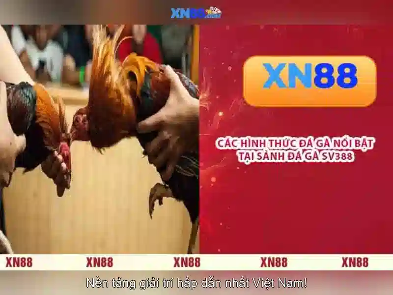 💎dữ liệu bóng đá nhà cái💎