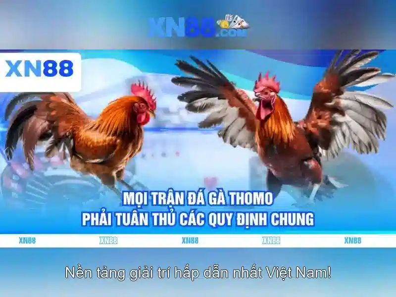 💎cá cược lô đề 188loto.me💎