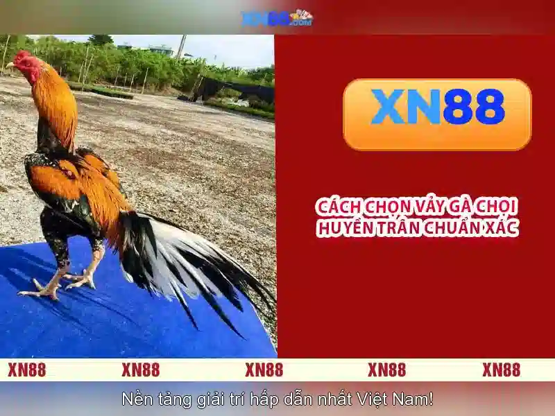 💎slot car store💎