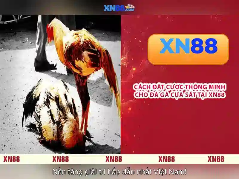 💎mpomega slot💎